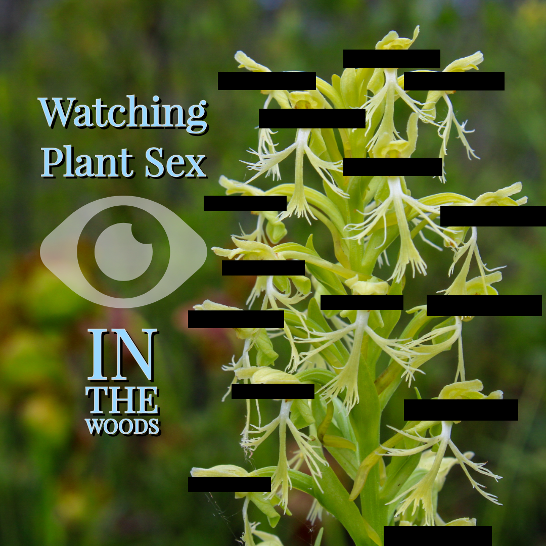 Watching Plant Sex in the Woods